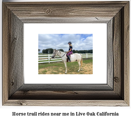 horse trail rides near me in Live Oak, California
